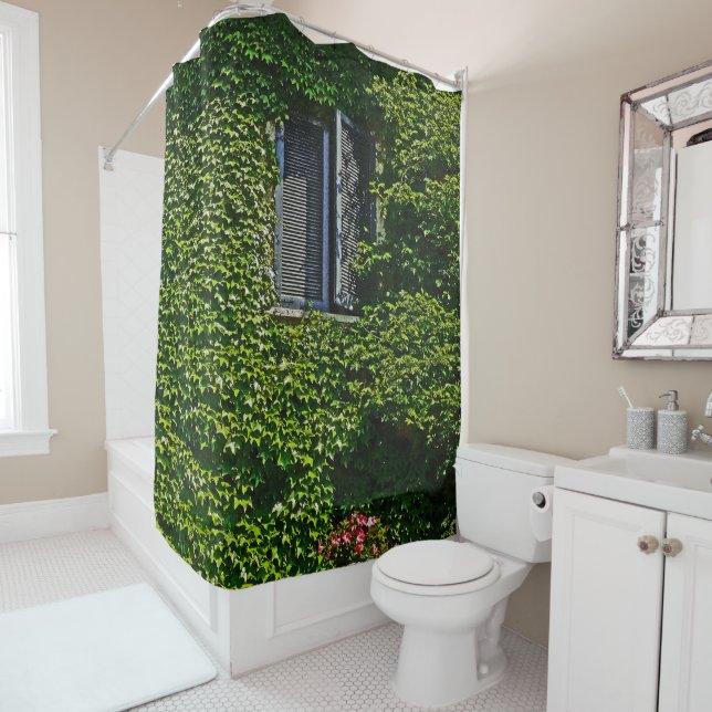 VINE-COVERED WALL/BLUE SHUTTERS/SHOWER CURTAIN (In Situ)
