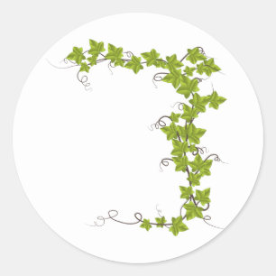 vine, green leaves classic round sticker