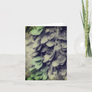 Vine On Tree Black White Partial Colour Note Card