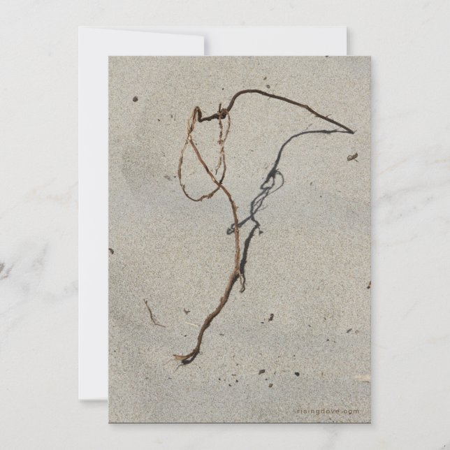 Vine/Standing Rock, Cannon Beach, Oregon Card (Front)