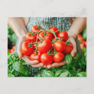 Vine Tomatoes with Countryside Charm Holiday Postcard