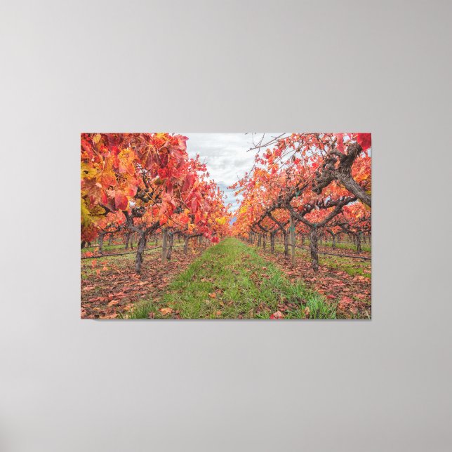 Vines in Autumn Canvas Print (Front)