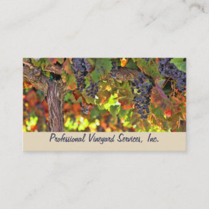 Vineyard and Harvest Services Business Cards