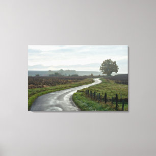 Vineyard at Lantignié of Rhône Department 2 Canvas Print