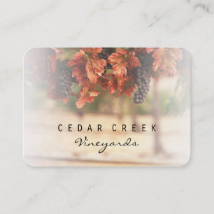 Vineyard Business Card