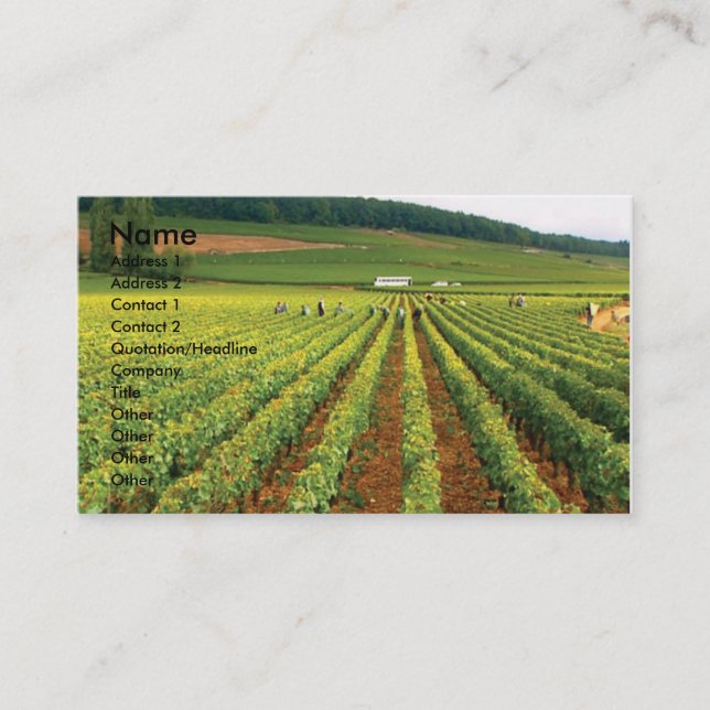 Vineyard Business Card (Front)