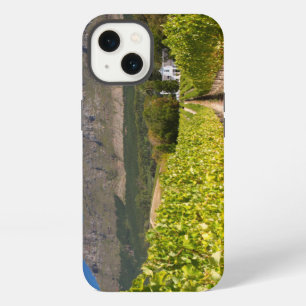 Vineyard, Cape Town, Western Cape, South Africa 2 iPhone 13 Case
