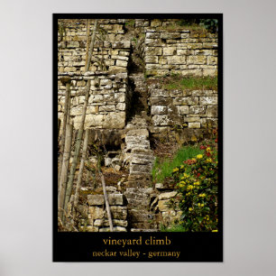 vineyard climb poster