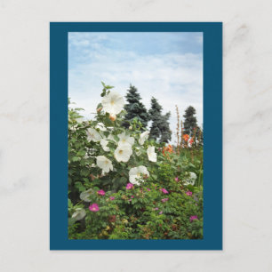 Vineyard Garden Summer Flowers Custom Postcard