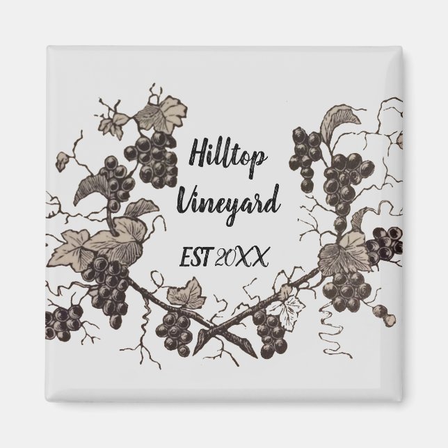 Vineyard Grape Vine Sketch Vintage Etching Winery Magnet (Front)