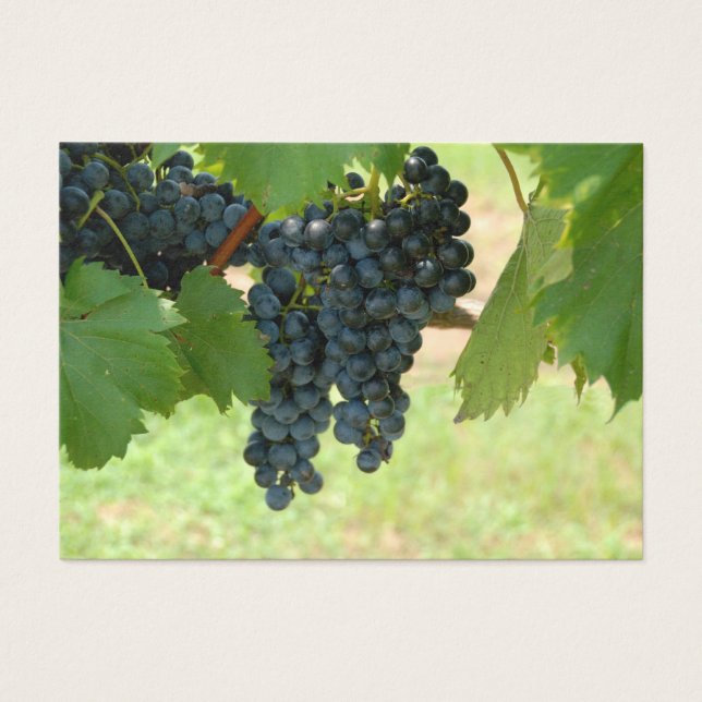 Vineyard Grapes (Front)