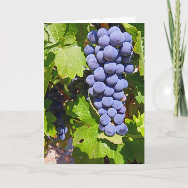 Vineyard Grapes Card (Front)