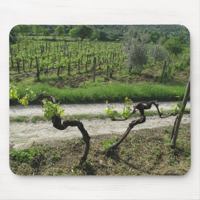 Vineyard in Chianti Region of Italy Mouse Mat (Front)