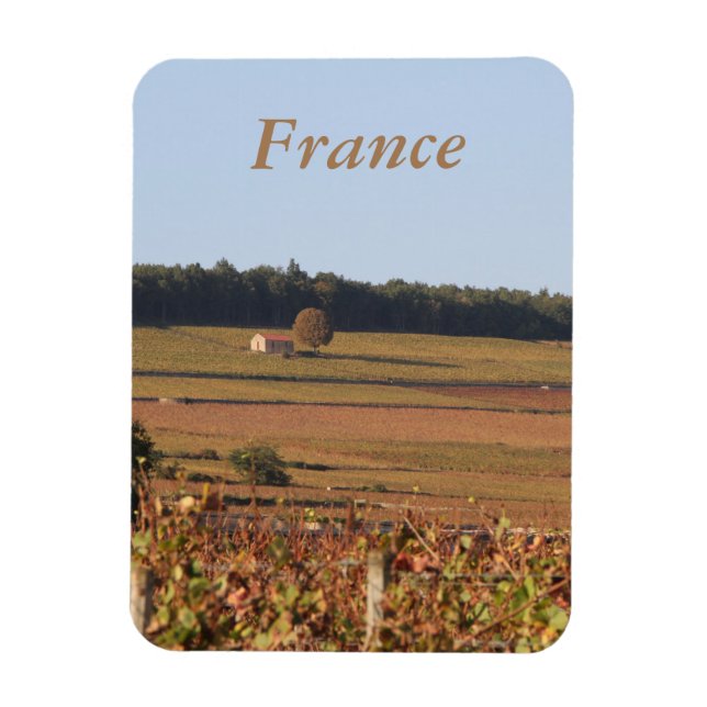 Vineyard in France printed on a magnet (Vertical)