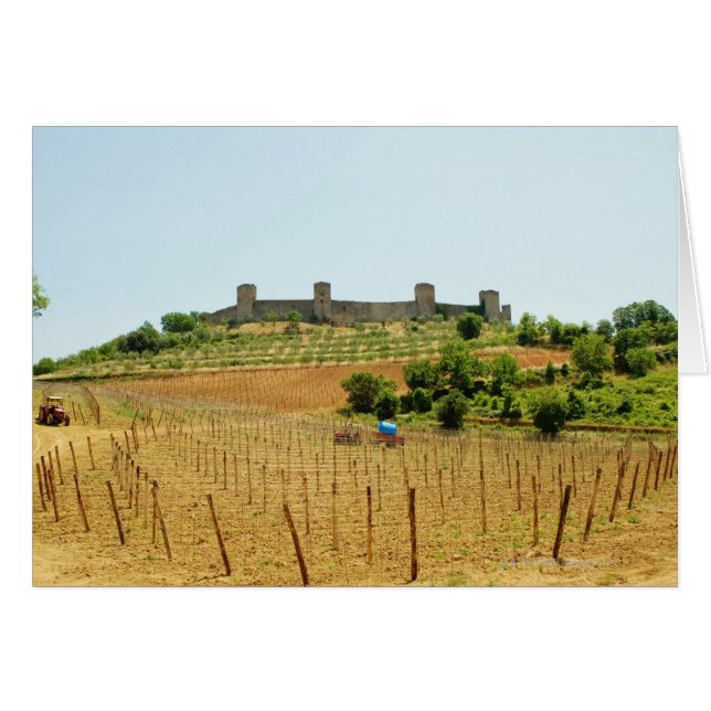 Vineyard in front of a fort, Monteriggioni, (Front Horizontal)