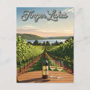 Vineyard in New York Finger Lakes Postcard