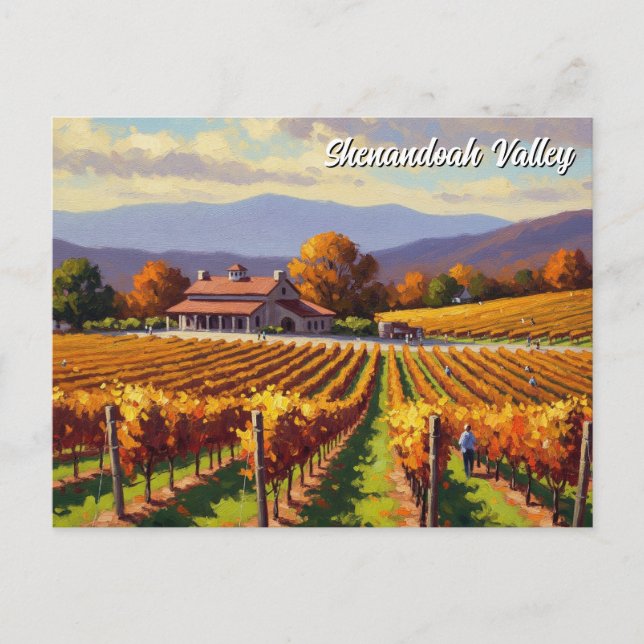 Vineyard in Virginia Shenandoah Valley Postcard (Front)