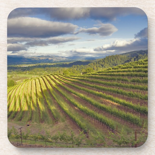 Vineyard. Napa Valley. Napa. Napa County, Coaster (Front)