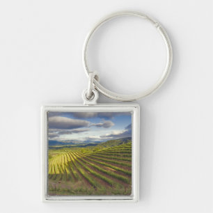 Vineyard. Napa Valley. Napa. Napa County, Key Ring