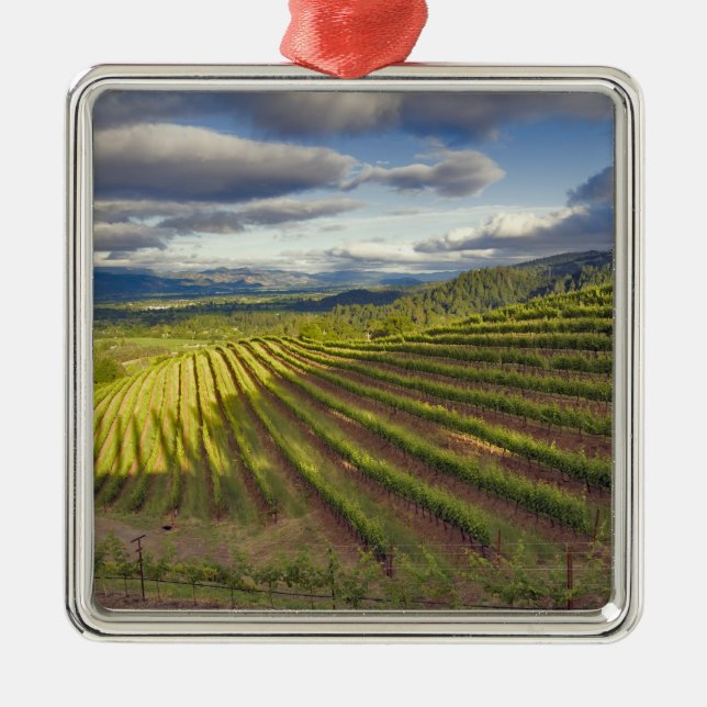 Vineyard. Napa Valley. Napa. Napa County, Metal Tree Decoration (Front)