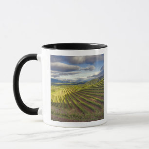 Vineyard. Napa Valley. Napa. Napa County, Mug