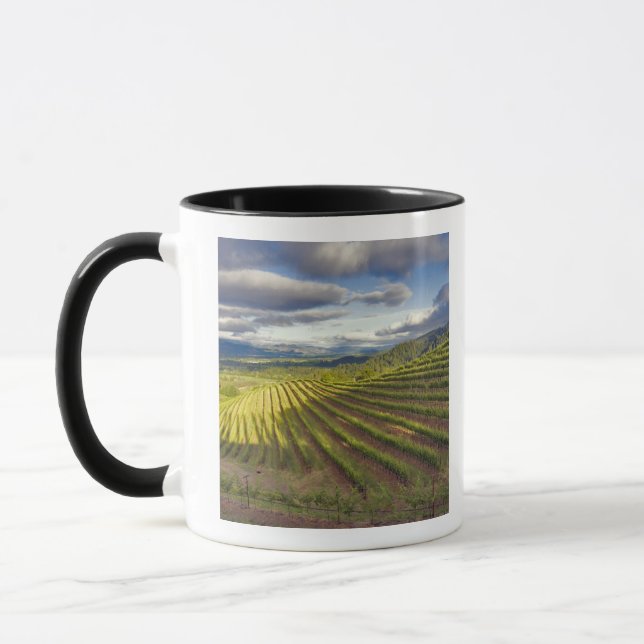 Vineyard. Napa Valley. Napa. Napa County, Mug (Left)