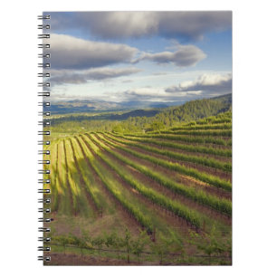 Vineyard. Napa Valley. Napa. Napa County, Notebook