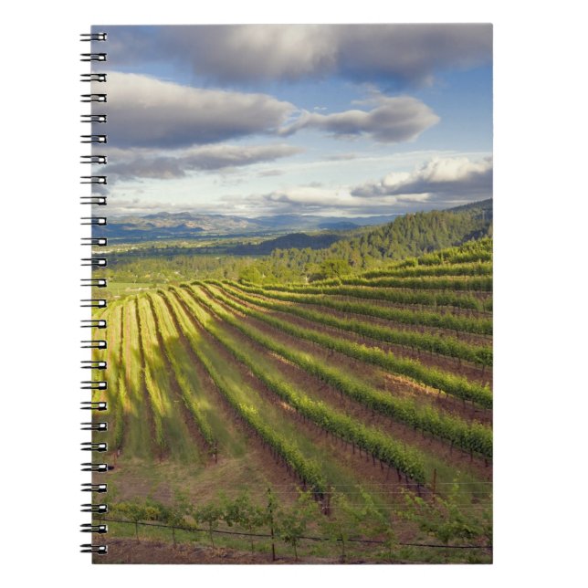 Vineyard. Napa Valley. Napa. Napa County, Notebook (Front)
