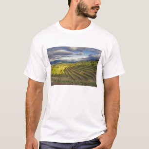 Vineyard. Napa Valley. Napa. Napa County, T-Shirt