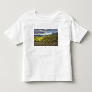 Vineyard. Napa Valley. Napa. Napa County, Toddler T-Shirt