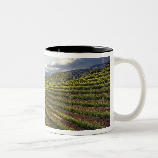Vineyard. Napa Valley. Napa. Napa County, Two-Tone Coffee Mug (Right)
