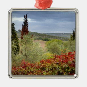 Vineyard near Montalcino, Tuscany, Italy Metal Tree Decoration