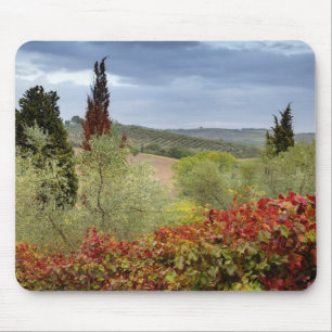 Vineyard near Montalcino, Tuscany, Italy Mouse Mat