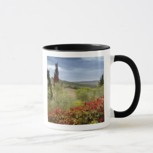Vineyard near Montalcino, Tuscany, Italy Mug