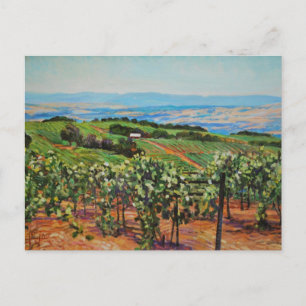 Vineyard Postcard