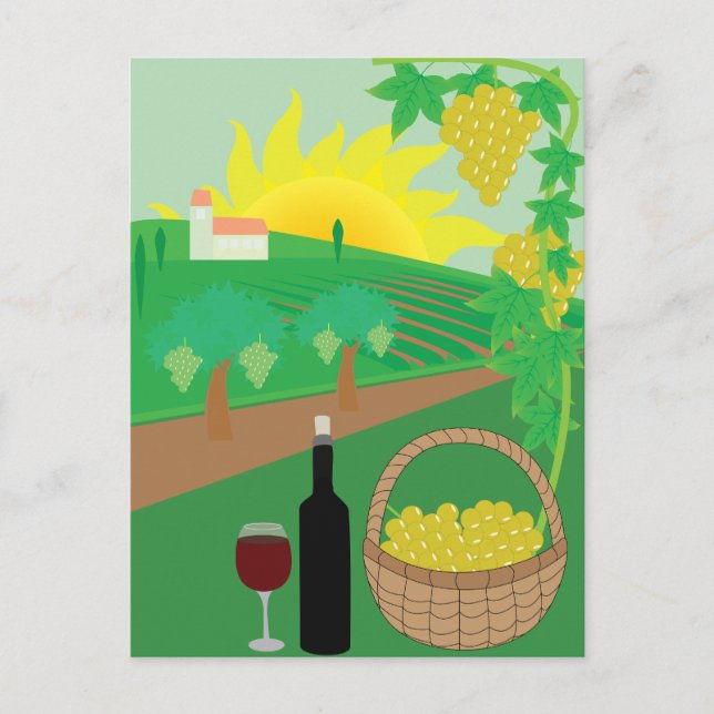 Vineyard Postcard (Front)