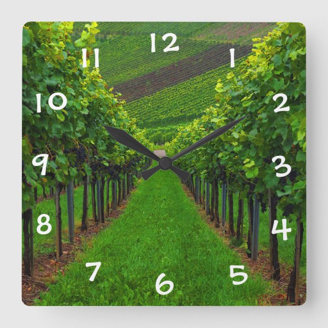 Vineyard Square Wall Clock (Front)