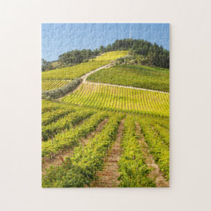 Vineyard, Stellenbosch, Western Cape Jigsaw Puzzle