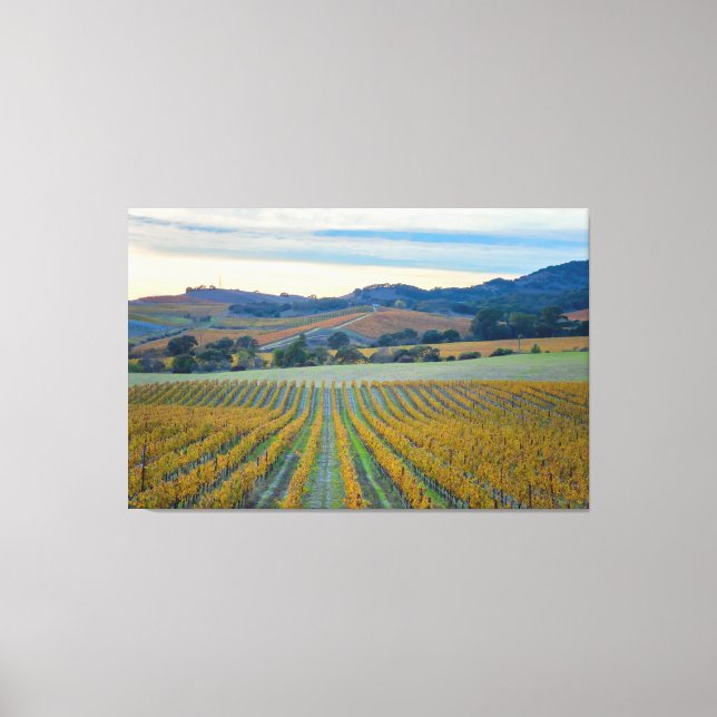 Vineyard Sunset Canvas Print (Front)