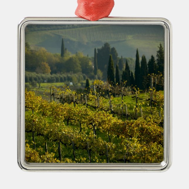 Vineyard, Tuscany, Italy Metal Tree Decoration (Front)