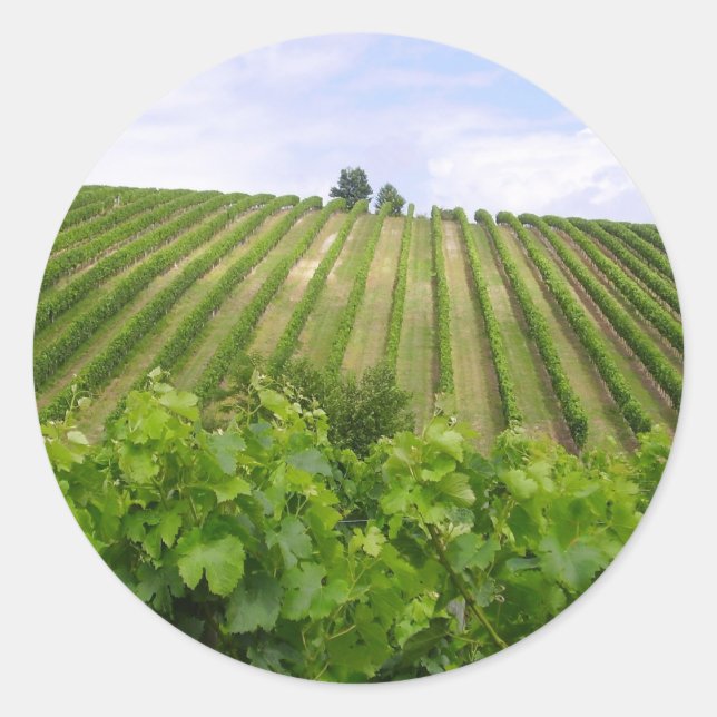 Vineyard - Vineyard (Bordeaux - France) 02 Classic Round Sticker (Front)