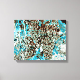 *~* Vineyard Winery Grape AR21 Blue Wine Cellar Canvas Print