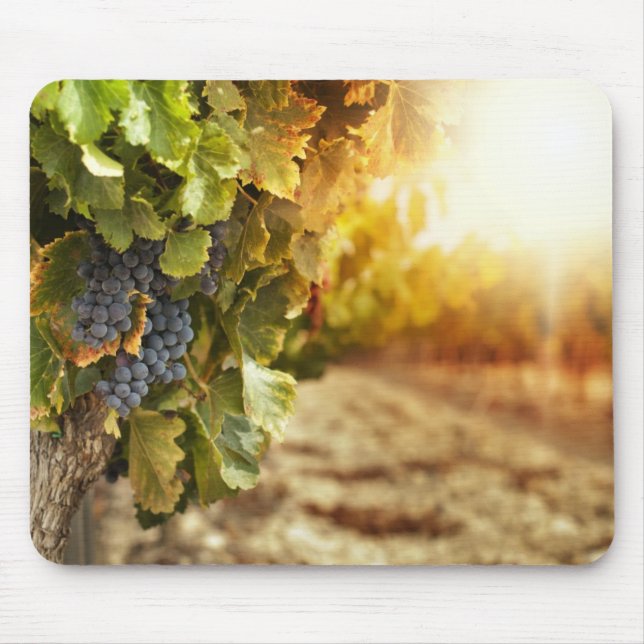 Vineyards At Sunset Mouse Mat (Front)