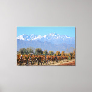 Vineyards In The Fall Of Mendoza, Argentina Canvas Print