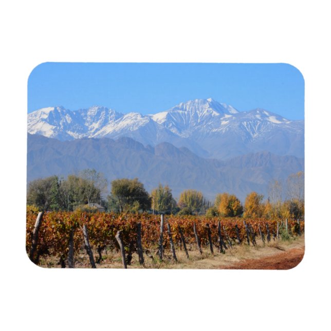 Vineyards In The Fall Of Mendoza, Argentina Magnet (Horizontal)