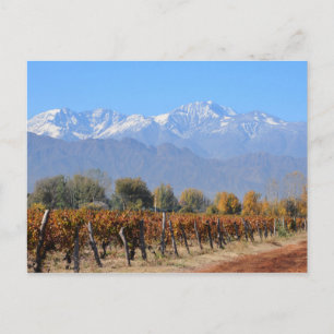 Vineyards In The Fall Of Mendoza, Argentina Postcard