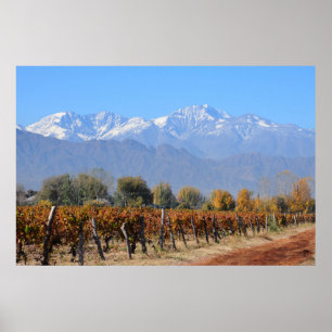 Vineyards In The Fall Of Mendoza, Argentina Poster