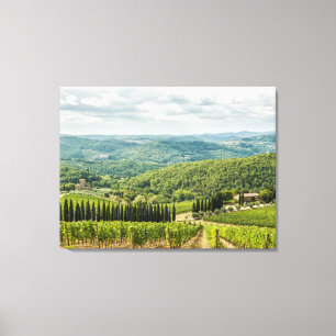 Vineyards landscapes in the morning in Chianti. Canvas Print