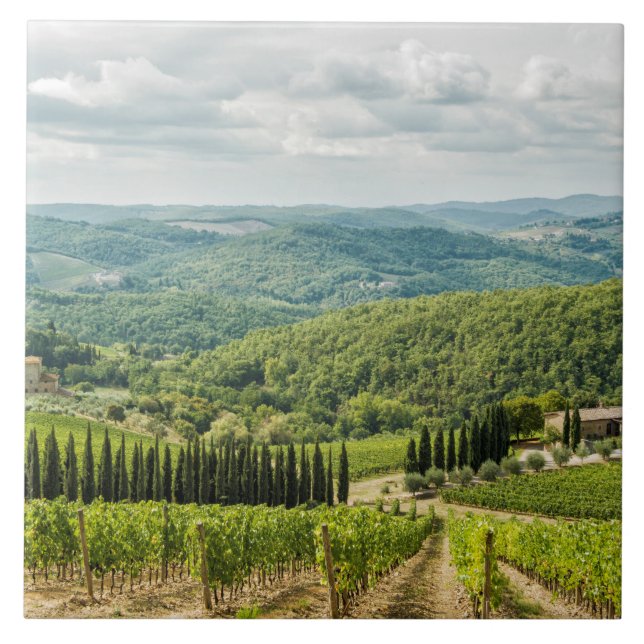 Vineyards landscapes in the morning in Chianti. Tile (Front)