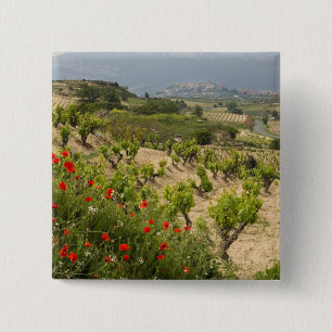 Vineyards near Laguardia, capital of La Rioja 15 Cm Square Badge